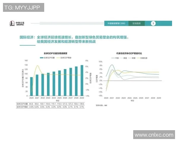 中国足球在国际舞台上的排名现状及未来发展展望分析