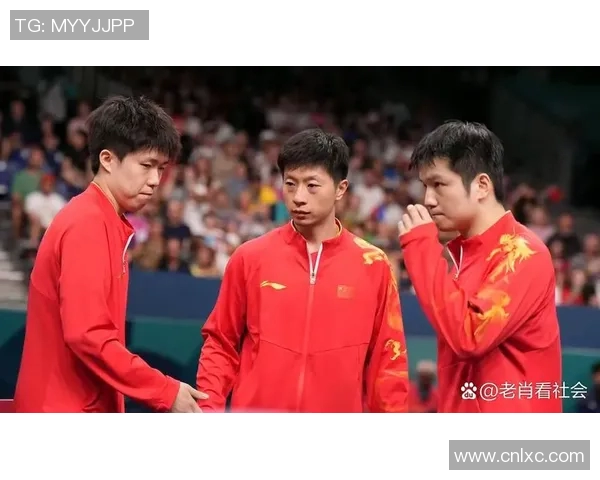 中国与瑞典的精彩对决揭示了两国文化与体育的深厚底蕴与独特魅力